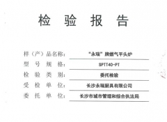 燃氣平頭爐檢驗報告